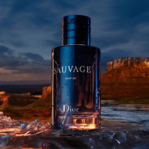 dior sauvage cost|dior sauvage cheapest price 100ml.